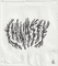 chwasty-logo-2-2024